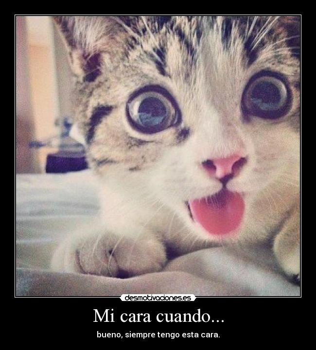 Mi cara cuando... - 