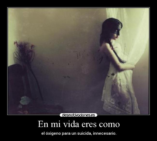 carteles vida maka siendo malotah desmotivaciones