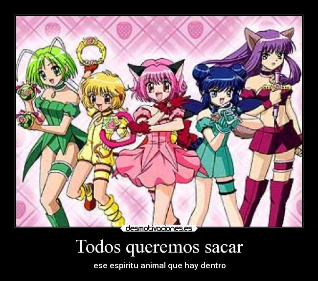 Todos queremos sacar - 