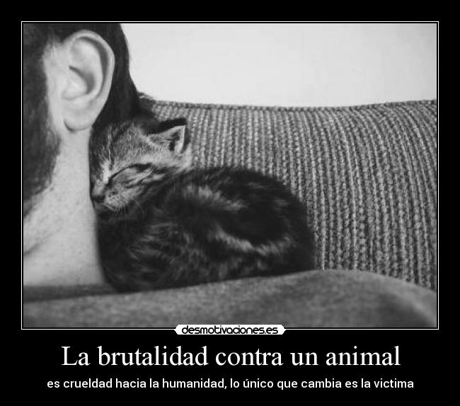 carteles tengo demasiadas ganas mandar alguien carajo amo amor gracias clanthebc desmotivaciones