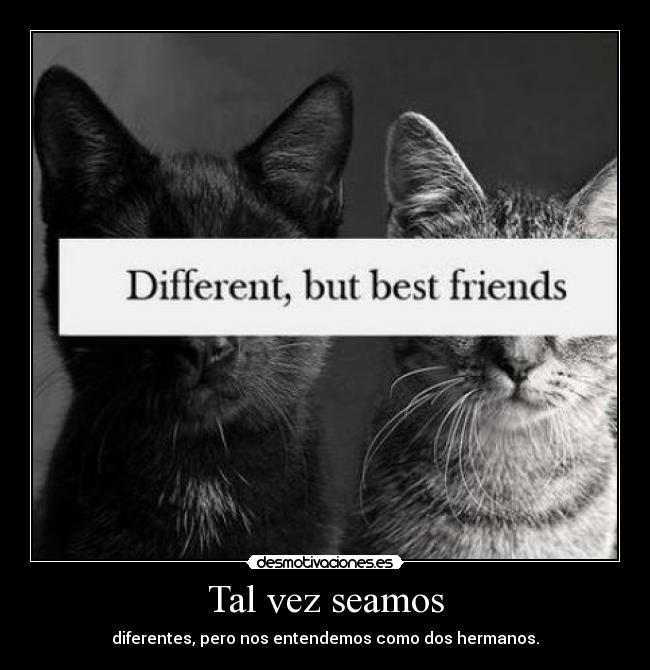 Tal vez seamos - diferentes, pero nos entendemos como dos hermanos.