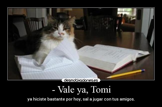 - Vale ya, Tomi - ya hiciste bastante por hoy, sal a jugar con tus amigos.