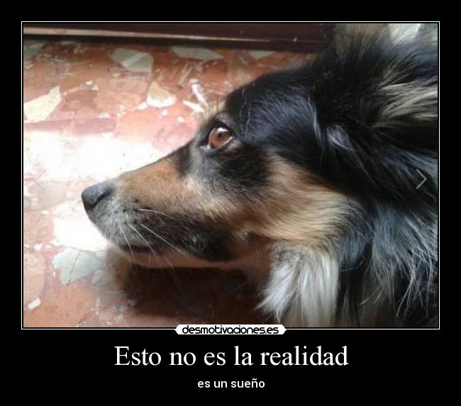 Esto no es la realidad - es un sueño
