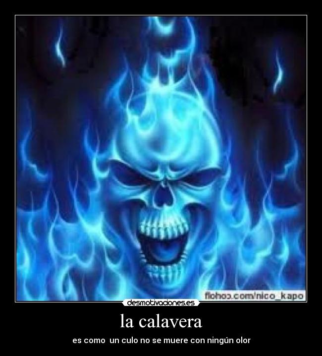 carteles fria00 desmotivaciones