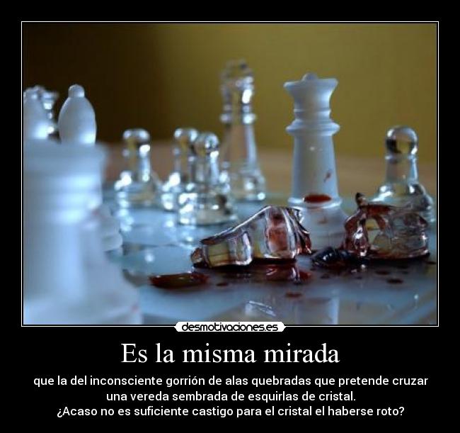 Es la misma mirada - que la del inconsciente gorrión de alas quebradas que pretende cruzar
una vereda sembrada de esquirlas de cristal.
¿Acaso no es suficiente castigo para el cristal el haberse roto?