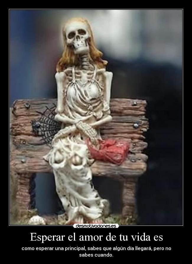 Esperar el amor de tu vida es - como esperar una principal, sabes que algún día llegará, pero no sabes cuando.