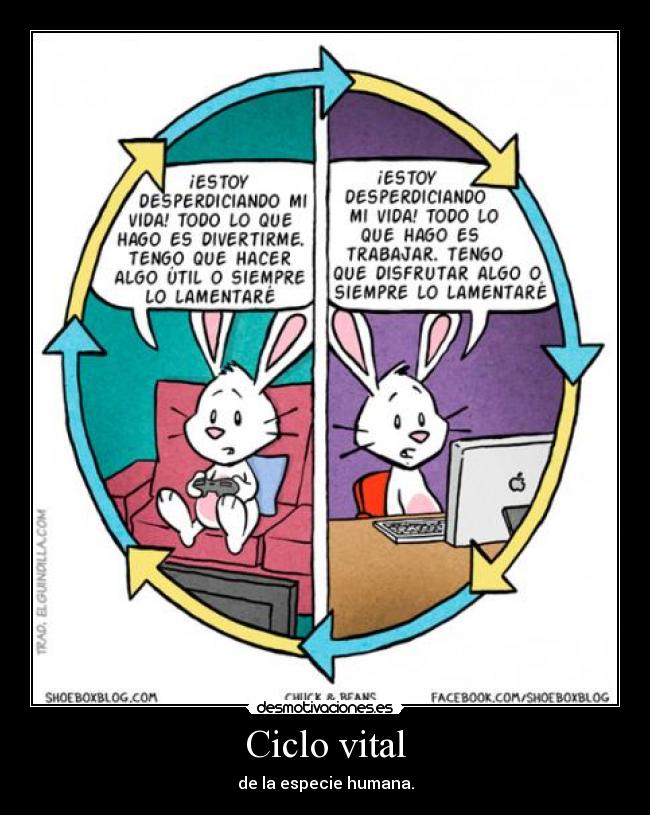 Ciclo vital -
