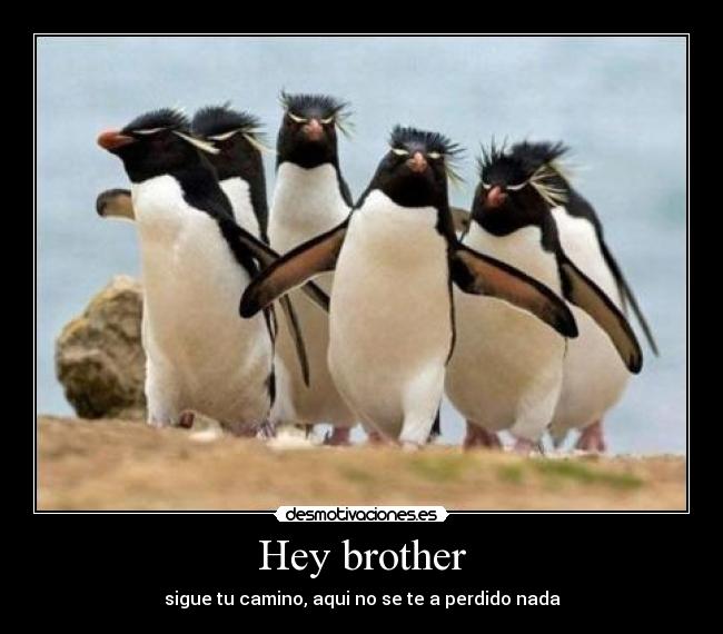 Hey brother -