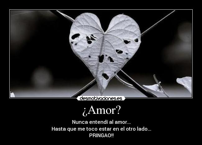 ¿Amor? - Nunca entendí al amor...
Hasta que me toco estar en el otro lado...
PRINGAO!!