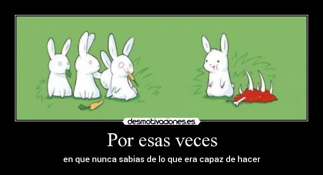 carteles conejo desmotivaciones