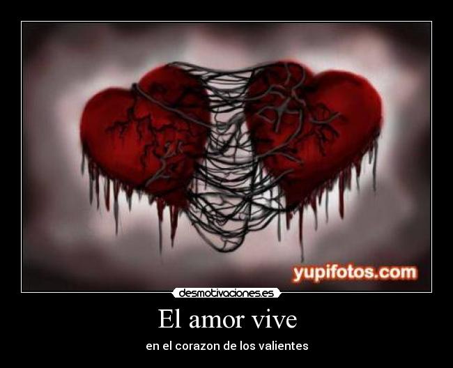 carteles amor amor desmotivaciones