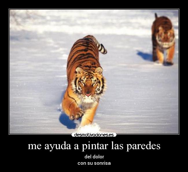 me ayuda a pintar las paredes - 