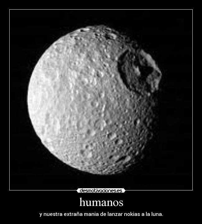 humanos -
