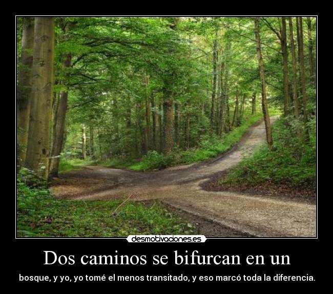 Dos caminos se bifurcan en un - bosque, y yo, yo tomé el menos transitado, y eso marcó toda la diferencia.