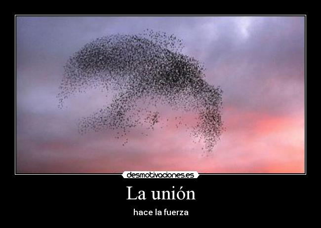 carteles desmotivaciones