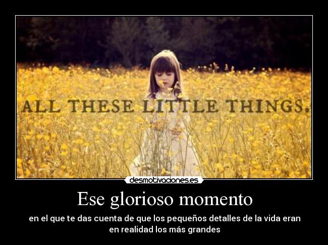 Ese glorioso momento - en el que te das cuenta de que los pequeños detalles de la vida eran
en realidad los más grandes