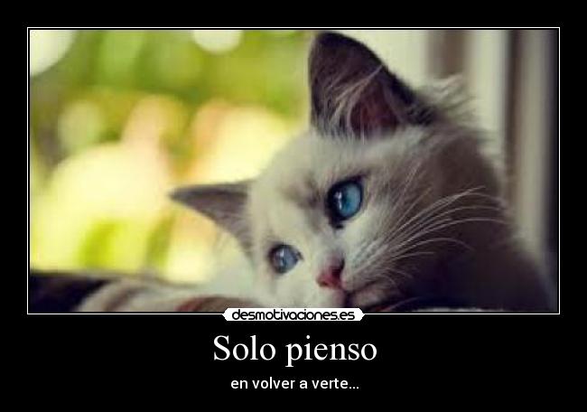 Solo pienso - en volver a verte...