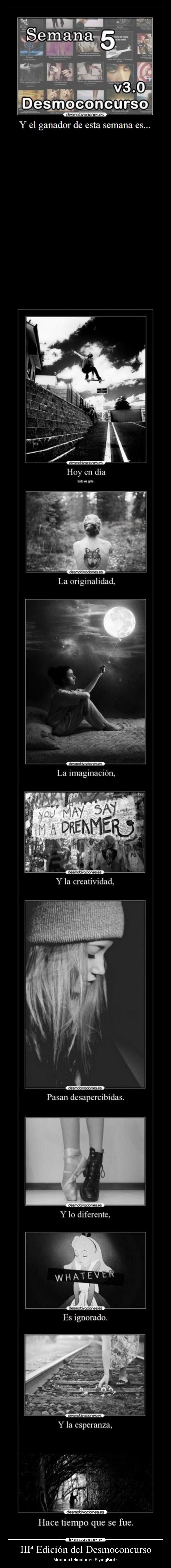 IIIª Edición del Desmoconcurso - ¡Muchas felicidades FlyingBird~!