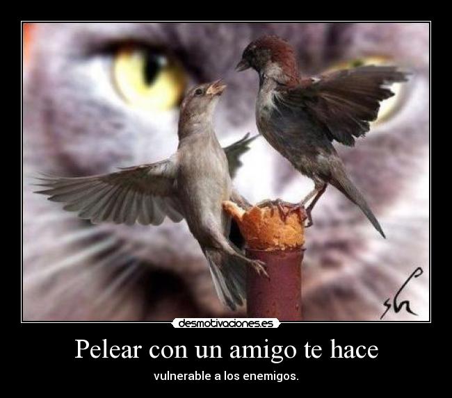 Pelear con un amigo te hace - 