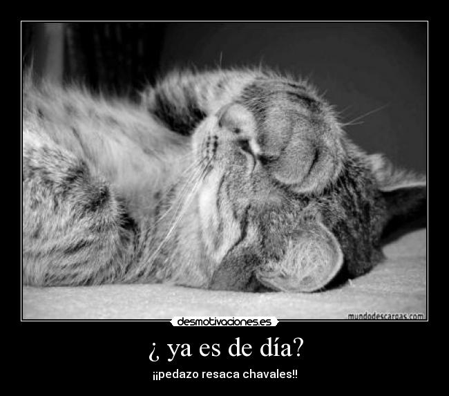 ¿ ya es de día? - 