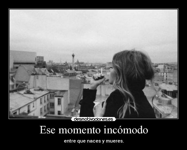 carteles vida incomoda frase recien subida por kim dotcom twitter desmoc3 desmotivaciones