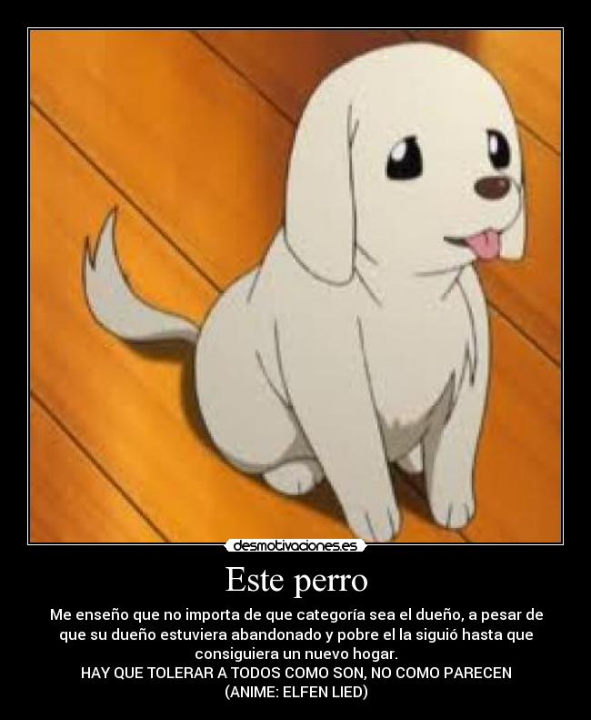 Este perro -