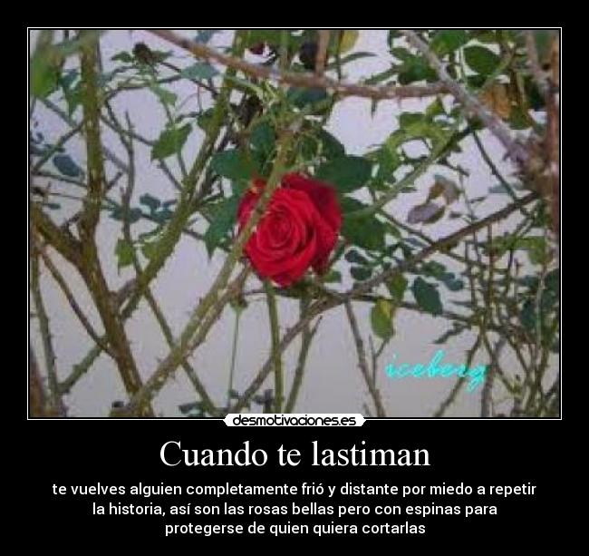 Cuando te lastiman - 