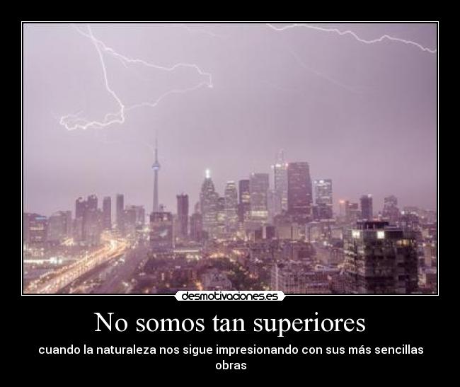 No somos tan superiores - cuando la naturaleza nos sigue impresionando con sus más sencillas obras