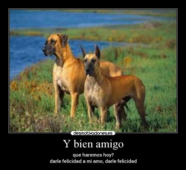 carteles desmotivaciones