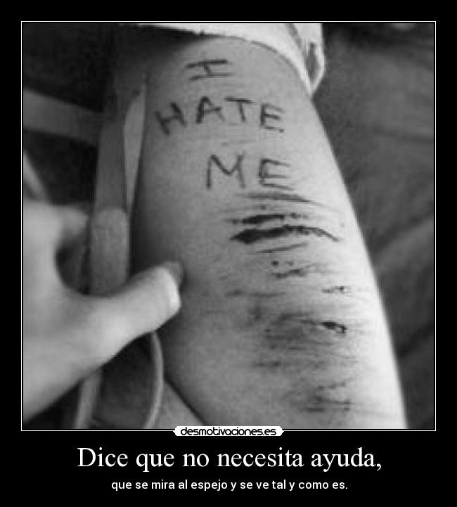 carteles ayuda preciosa princesa realidad desmotivaciones