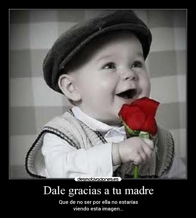 carteles madre ypp desmotivaciones