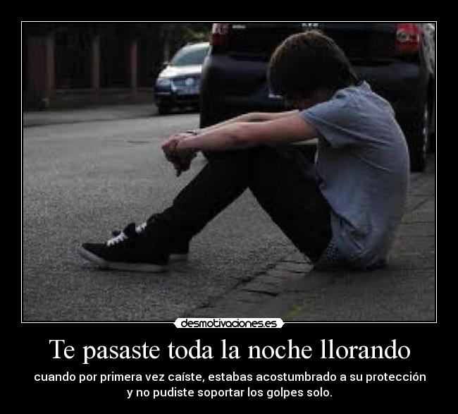Te pasaste toda la noche llorando -