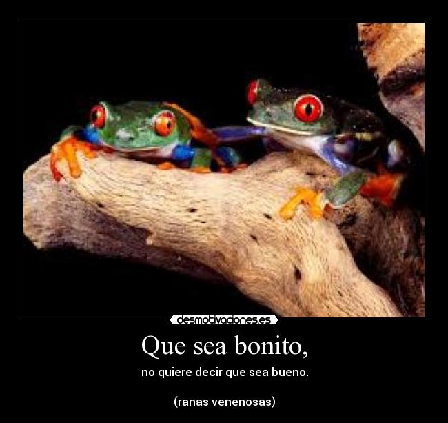 Que sea bonito, - no quiere decir que sea bueno.
(ranas venenosas)