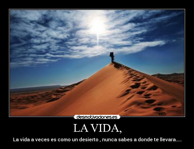 LA VIDA, -
