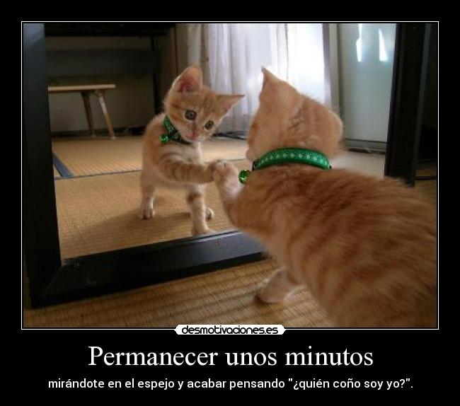 Permanecer unos minutos - 