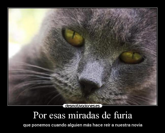 carteles miradas furia ponemos alguien hace reir novia desmotivaciones