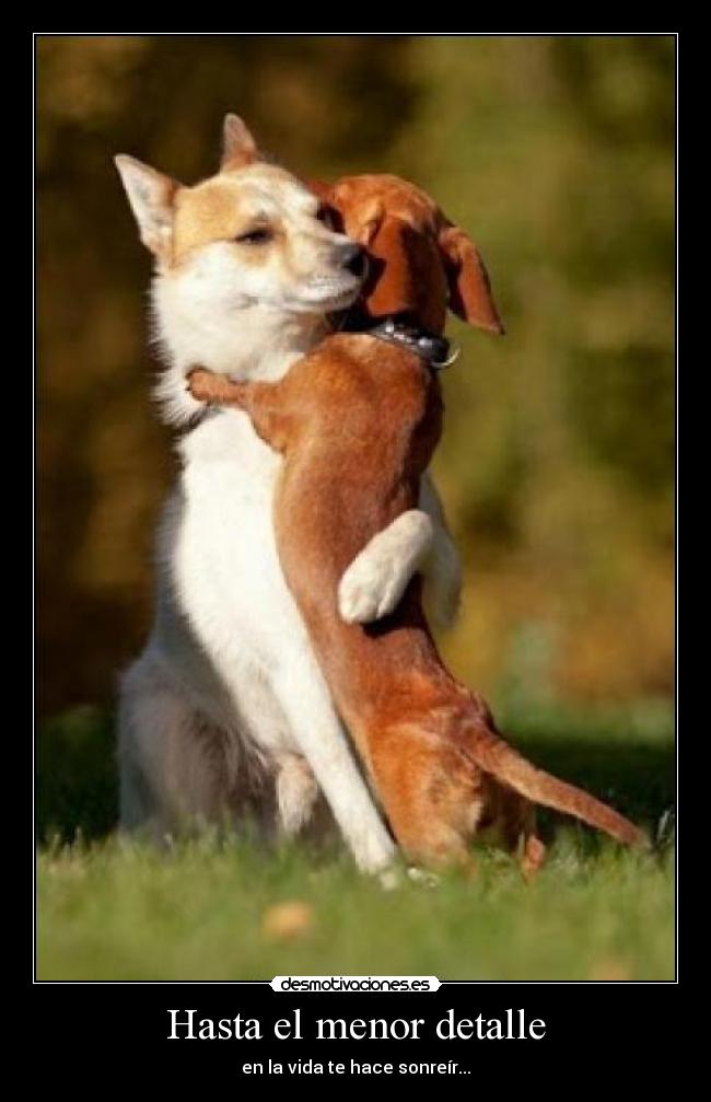 Hasta el menor detalle -