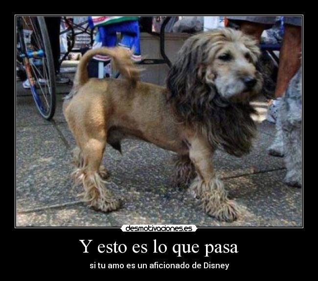 Y esto es lo que pasa - si tu amo es un aficionado de Disney