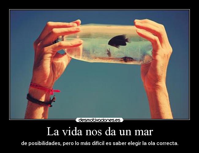 La vida nos da un mar - de posibilidades, pero lo más difícil es saber elegir la ola correcta.
