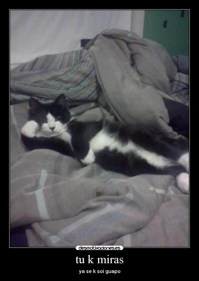 tu k miras - ya se k soi guapo