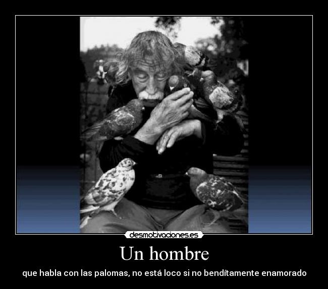 carteles hombre las palomas desmotivaciones