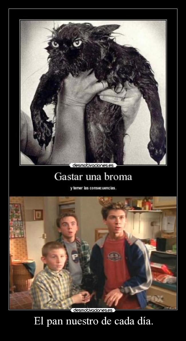 carteles malcolm the middle dewey reese vaya lios metian los jodios desmotivaciones