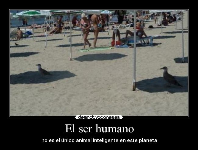 El ser humano - 