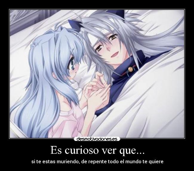 Es curioso ver que... -