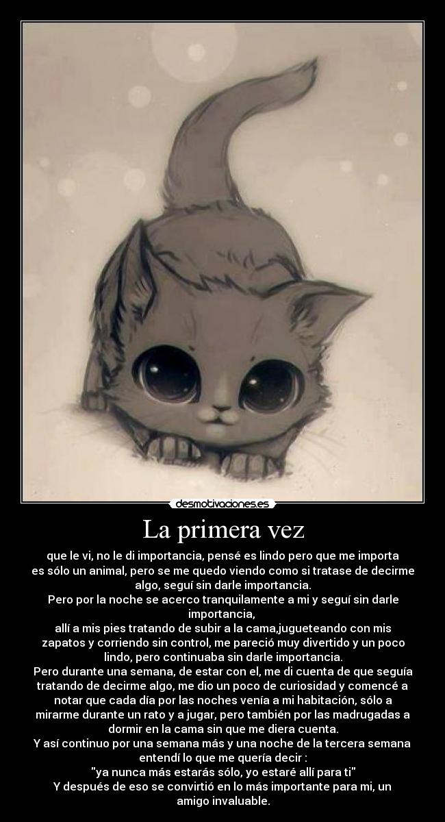 La primera vez - que le vi, no le di importancia, pensé es lindo pero que me importa
es sólo un animal, pero se me quedo viendo como si tratase de decirme
algo, seguí sin darle importancia.
Pero por la noche se acerco tranquilamente a mi y seguí sin darle
importancia, 
allí a mis pies tratando de subir a la cama,jugueteando con mis
zapatos y corriendo sin control, me pareció muy divertido y un poco
lindo, pero continuaba sin darle importancia.
Pero durante una semana, de estar con el, me di cuenta de que seguía
tratando de decirme algo, me dio un poco de curiosidad y comencé a
notar que cada día por las noches venía a mi habitación, sólo a
mirarme durante un rato y a jugar, pero también por las madrugadas a
dormir en la cama sin que me diera cuenta.
Y así continuo por una semana más y una noche de la tercera semana
entendí lo que me quería decir :
ya nunca más estarás sólo, yo estaré allí para ti
Y después de eso se convirtió en lo más importante para mi, un
amigo invaluable.