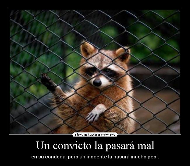 carteles fede28 desmotivaciones