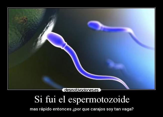 Si fui el espermotozoide - 
