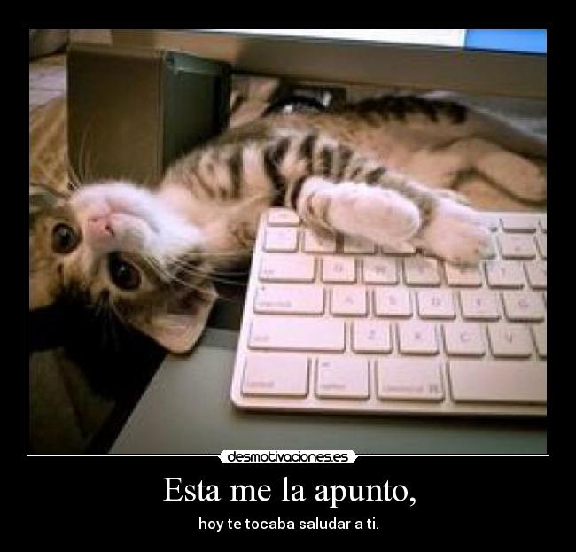 Esta me la apunto, -