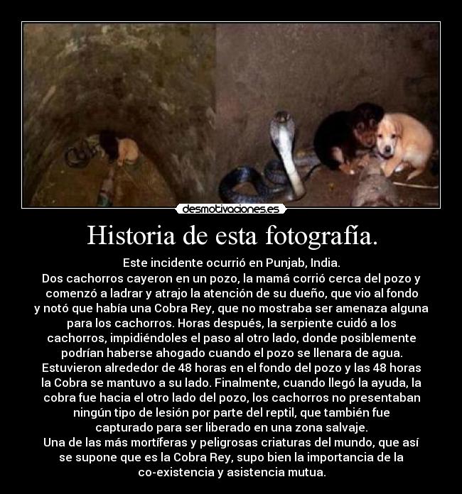 Historia de esta fotografía. - 