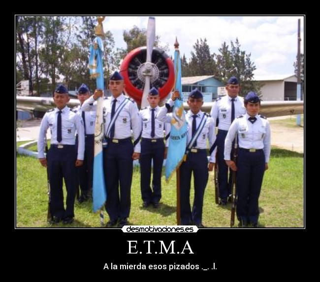 carteles 2013 desmotivaciones